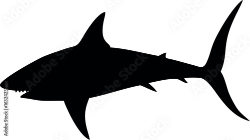 Aggressive shark illustration with sharp teeth and fins