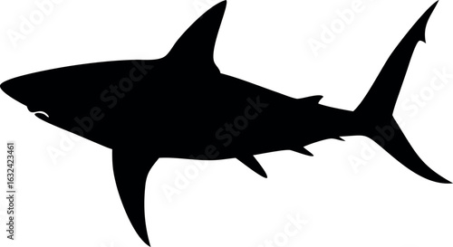 Aggressive shark illustration with sharp teeth and fins