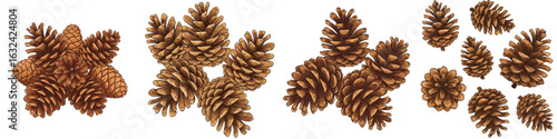 Set of isolated pine cones in natural brown color  