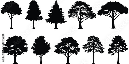 Silhouettes of various tree species, dense and leafy crowns, tall trunks, natural shapes, black vector trees, forest nature illustrations