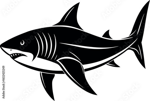 Aggressive shark illustration with sharp teeth and fins