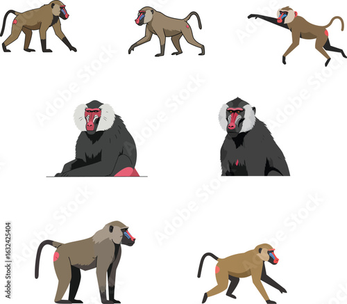 Set of Animated Baboons in Various Poses Against a White Background