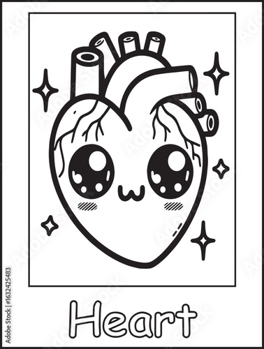 Printable coloring page for kids and adults: Human body anatomy: body parts to color: Kawaii heart