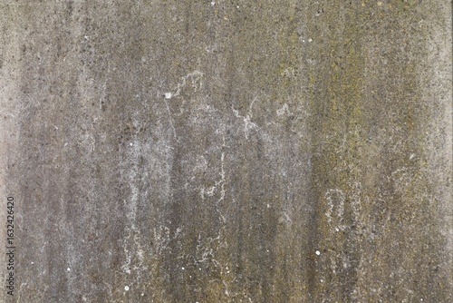 Texture of a concrete wall. Green, dark, light places. Abstraction.