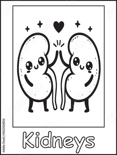 Printable coloring page for kids and adults: Human body anatomy: body parts to color: Kawaii kidneys