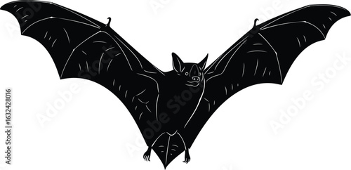 Black bat with open wings, halloween night creature, flying mammal