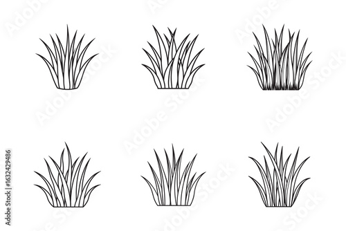 Black and White Grass Clump Vector Illustration a Minimalist Design Element for Nature and Landscaping Projects and Ecological Themes