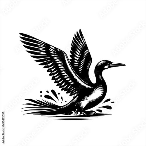 Black and white illustration of a cormorant taking flight from water