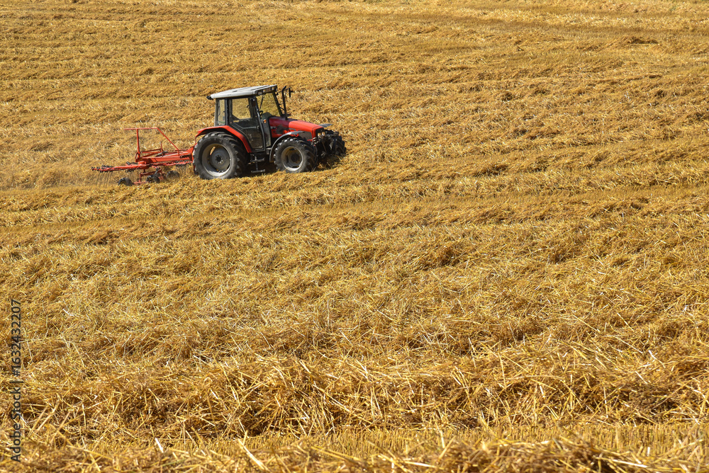 Obraz premium A red tractor works its way across a golden field during harvest season in the Swiss countryside