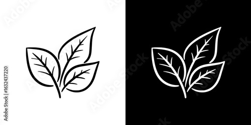 Leaf icon design, isolated vector image, two variants of design on transparent and black background, pencil drawing, chalk drawing
