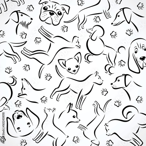 Photography Dogs background, pattern set. Collection dogs icon. Vector