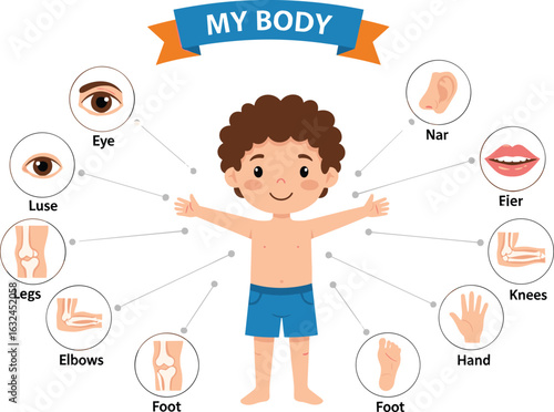 PrintHuman body parts, kid anatomy chart, educational poster, labeled illustration, learning for children, cartoon style, vector diagram, school material