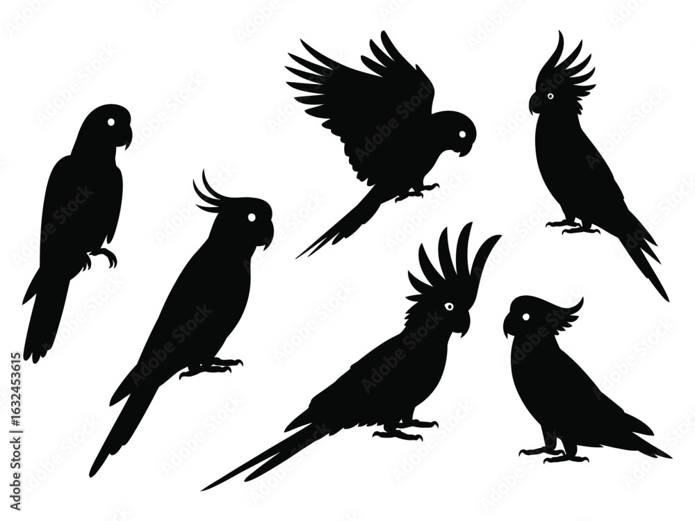 Fototapeta premium Set of black cockatoo parrot silhouettes. Tropical bird vector graphic collection isolated on white background.