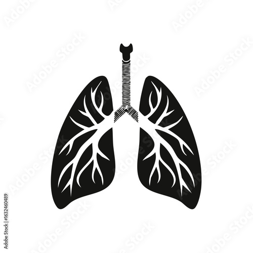 Human lungs medical illustration, anatomical view, black and white outline