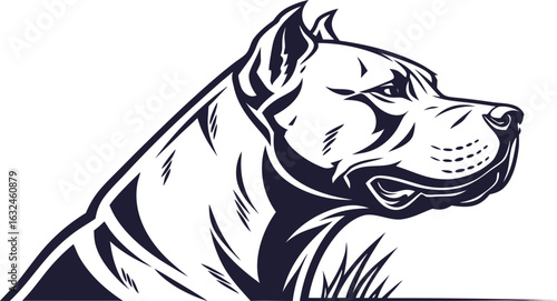Illustration of a pitbull dog head with short cropped ears in black and white color scheme design art on transparent background silhouette