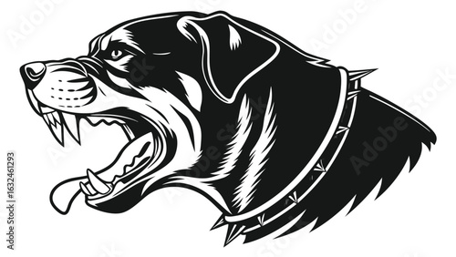 Illustration of an angry rottweiler head with open mouth and spiked collar in black and white style on transparent background silhouette
