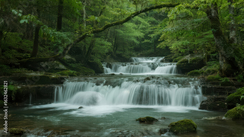 Serene Forest Waterfall with Cascading Streams and Lush Greenery
