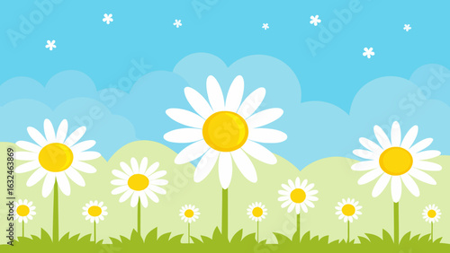 field daisies sparkling noon sun