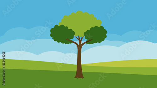 lone tree sunny open field clear sky