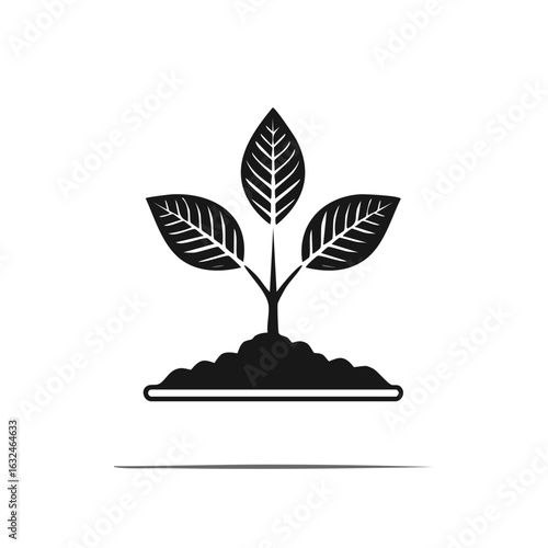 Depiction of a seedling emerging from the soil with three vibrant leaves on a white background, showcasing nature's resilience