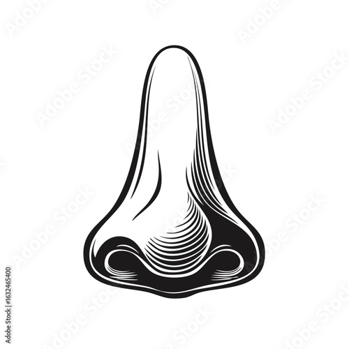 Stylized Nose Illustration Detailed Anatomy Medical Diagram Vector Art