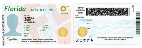 Florida Driver License Front and Back sample illustration. Driver's license isolated on white background. Person driver license.