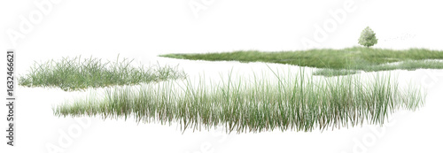 grass Peaceful island in a lake with reeds, grass, and clear water reflection under the blue sky.