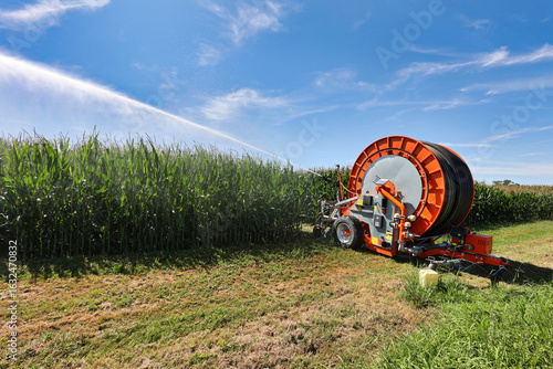 Canon arrosage maïs, champs de culture céréales