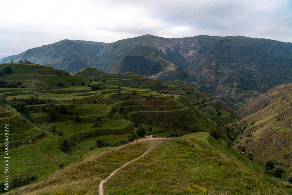 Obraz premium Chokhsky terraces Dagestan. Landscape of mountainous Dagestan with terraced fields and peaks mountains in the distance.