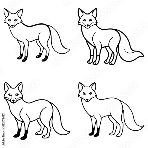 Four outlined foxes standing in different poses with detailed facial features and bushy tails shown