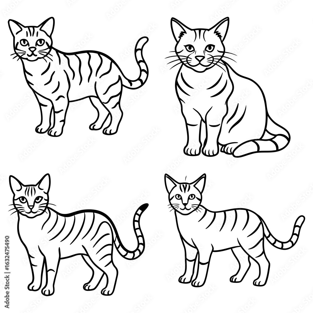 Fototapeta premium Four outlined tabby cats in various poses standing and sitting facing forward on a white background