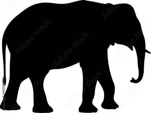 “Centered graphic of a stylized elephant silhouette in profile, facing right. The black figure is flat and sharply defined with clean lines, no interior details, and a formal, neutral tone. Designed i