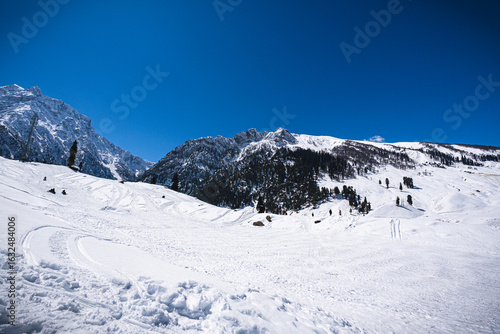 Snow-covered pine trees and mountain peaks in Gulmarg, Kashmir, India under a clear blue sky