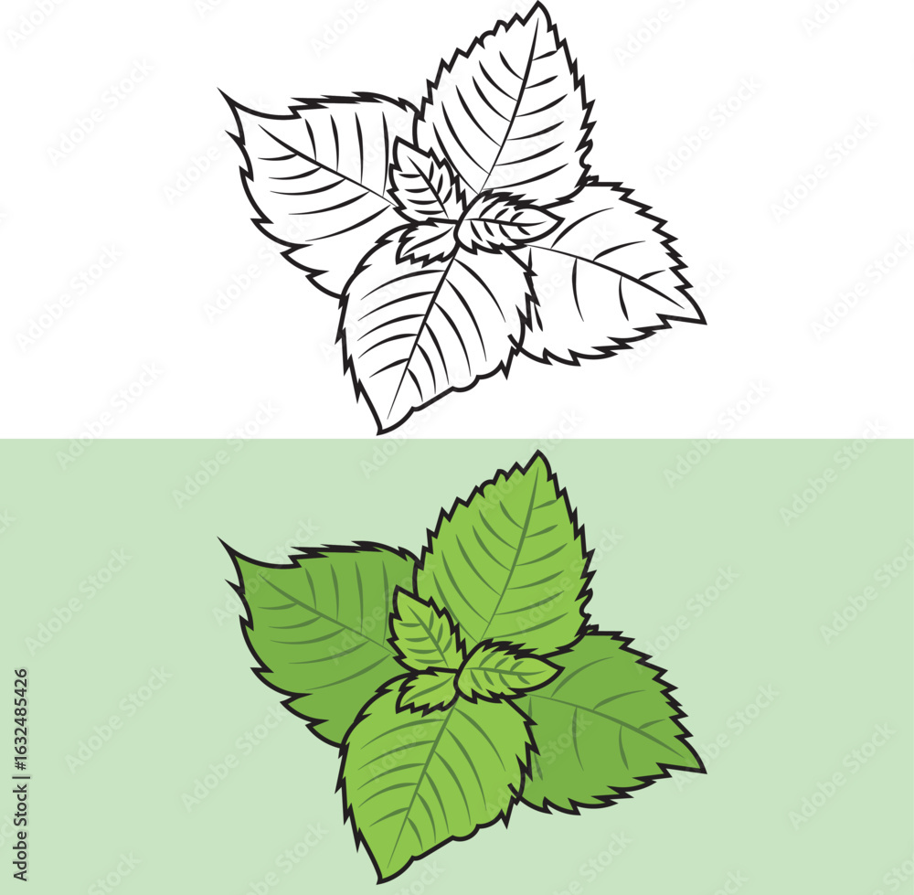 Obraz premium mint clipart design. 