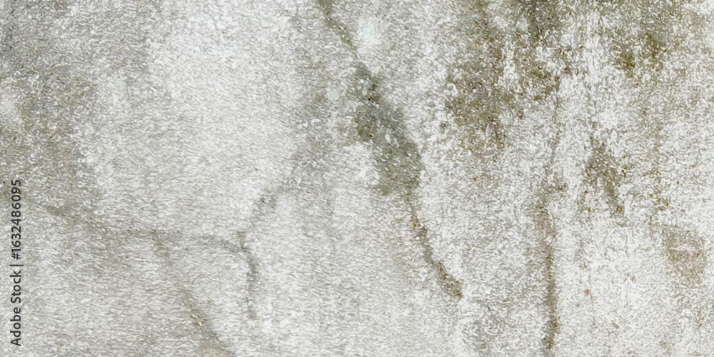 Obraz premium Urban Abstract Background with copy-space. Premium Gray Wall Stucco Texture Banner. rough concrete wall texture background.