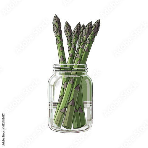 Fresh green asparagus spears are arranged in a clear glass mason jar filled with water, isolated on a white background.