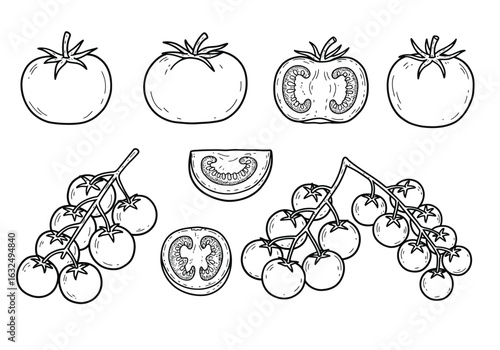 Illustration of various tomatoes isolated on white background, showcasing different shapes, sizes, and arrangements of this versatile fruit and vegetable
