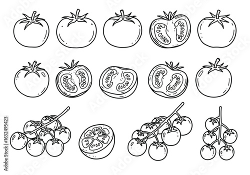 Illustration of various tomatoes isolated on white background, showcasing different shapes, sizes, and arrangements of this versatile fruit and vegetable
