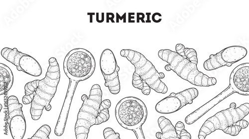 Turmeric root sketch. Horizontal seamless pattern. Hand drawn vector illustration. Curcuma spice, powder in a spoon. Kitchen spice