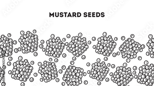 Mustard seeds sketch. Horizontal seamless pattern. Hand drawn vector illustration. Handful of spice. Kitchen spice.