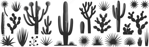 Cactus silhouette, desert plant, wild nature, succulent illustration, botanical cactus, spiky flora, tropical thorn, dry landscape, cactus drawing, silhouette flora vector, prickly bush