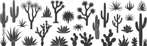 Silhouette set of desert cactus plants and succulents, black tropical flora shapes, nature vector graphic illustration, dry climate vegetation icon design