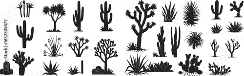 Cactus silhouette, desert plants, tropical nature, wild succulent, spiky flora, botanical shapes, dry landscape, prickly cactus, silhouette plant, vector cactus drawing, nature clipart