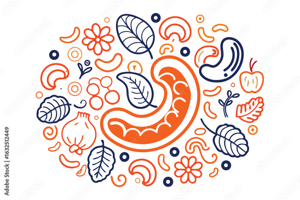 Fototapeta premium Beautiful Cashew with white background