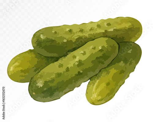 Realistic watercolor illustration of fresh pickled cucumbers, a crunchy and tangy staple of Eastern European cuisine. Vector illustration.