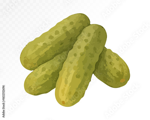 Realistic watercolor illustration of fresh pickled cucumbers, a crunchy and tangy staple of Eastern European cuisine. Vector illustration.