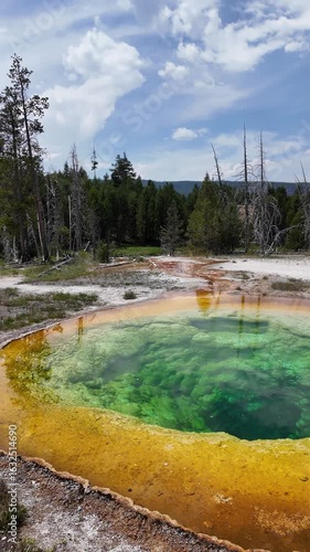Yellowstone National Park in July 2025, Geysers, Lake, Animals, Canyon