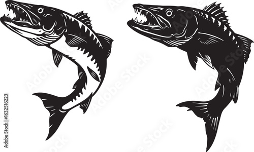 Two aggressive barracuda fish silhouette