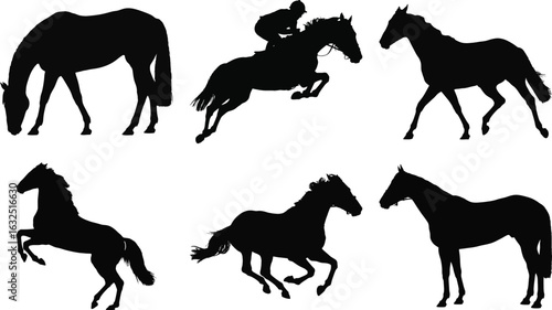 Horse silhouette vector set featuring various poses including running, jumping, grazing, and standing, perfect for equestrian design.