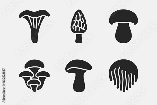Wild Mushroom Collection – Forest Fungi, Edible and Poisonous Species Vector Set